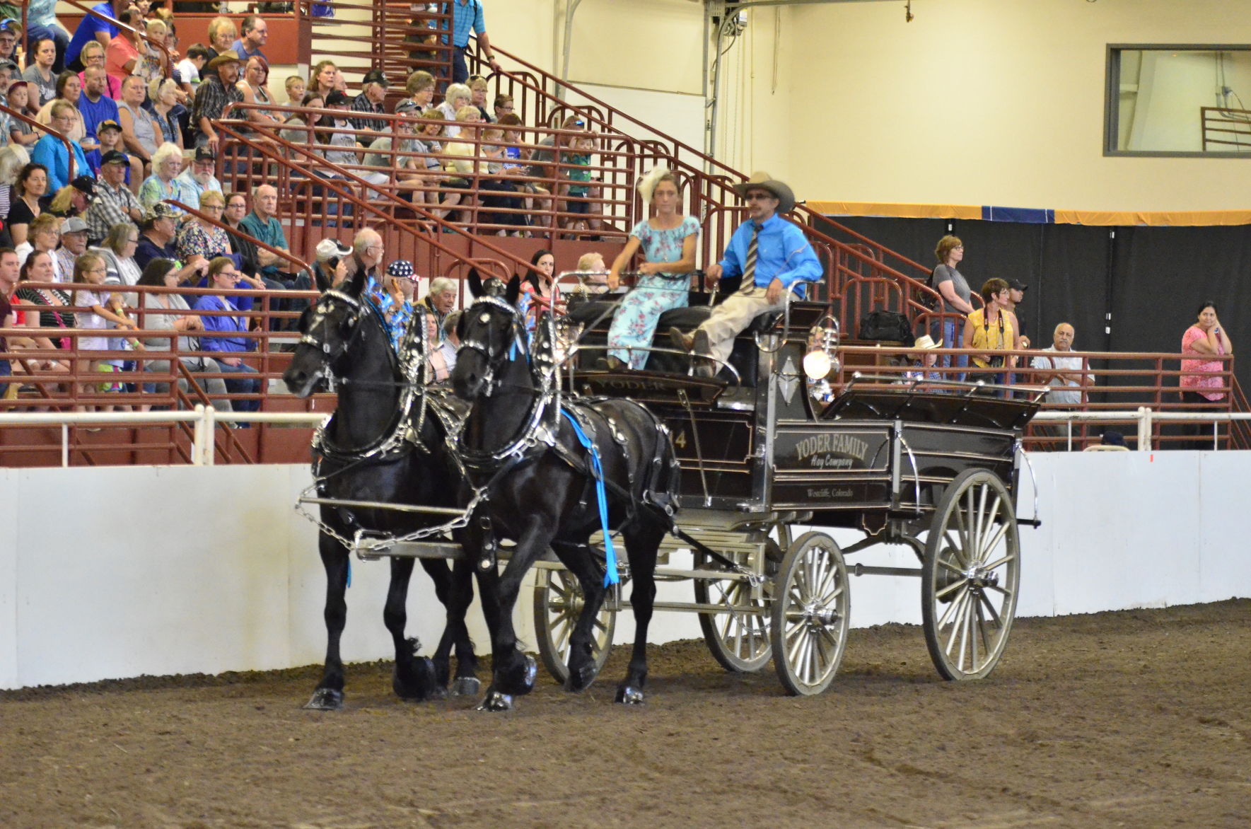 8-25-19 Draft Horse Hitch Final (49).JPG